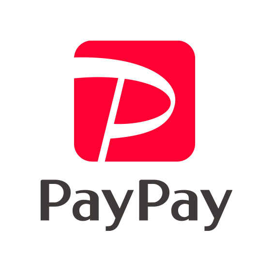 清和医院で決済できるコード決済_ paypay